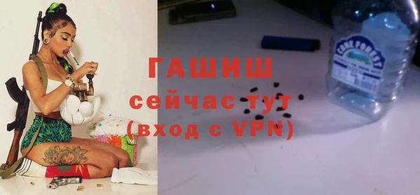 дживик Абаза