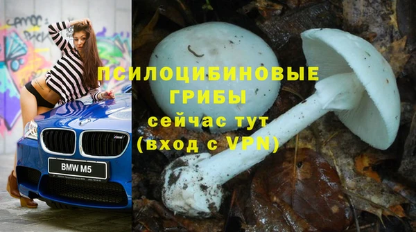 ГАЛЛЮЦИНОГЕННЫЕ ГРИБЫ Алзамай