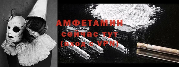 ГАЛЛЮЦИНОГЕННЫЕ ГРИБЫ Алзамай