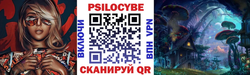 Галлюциногенные грибы Psilocybine cubensis  Серпухов 